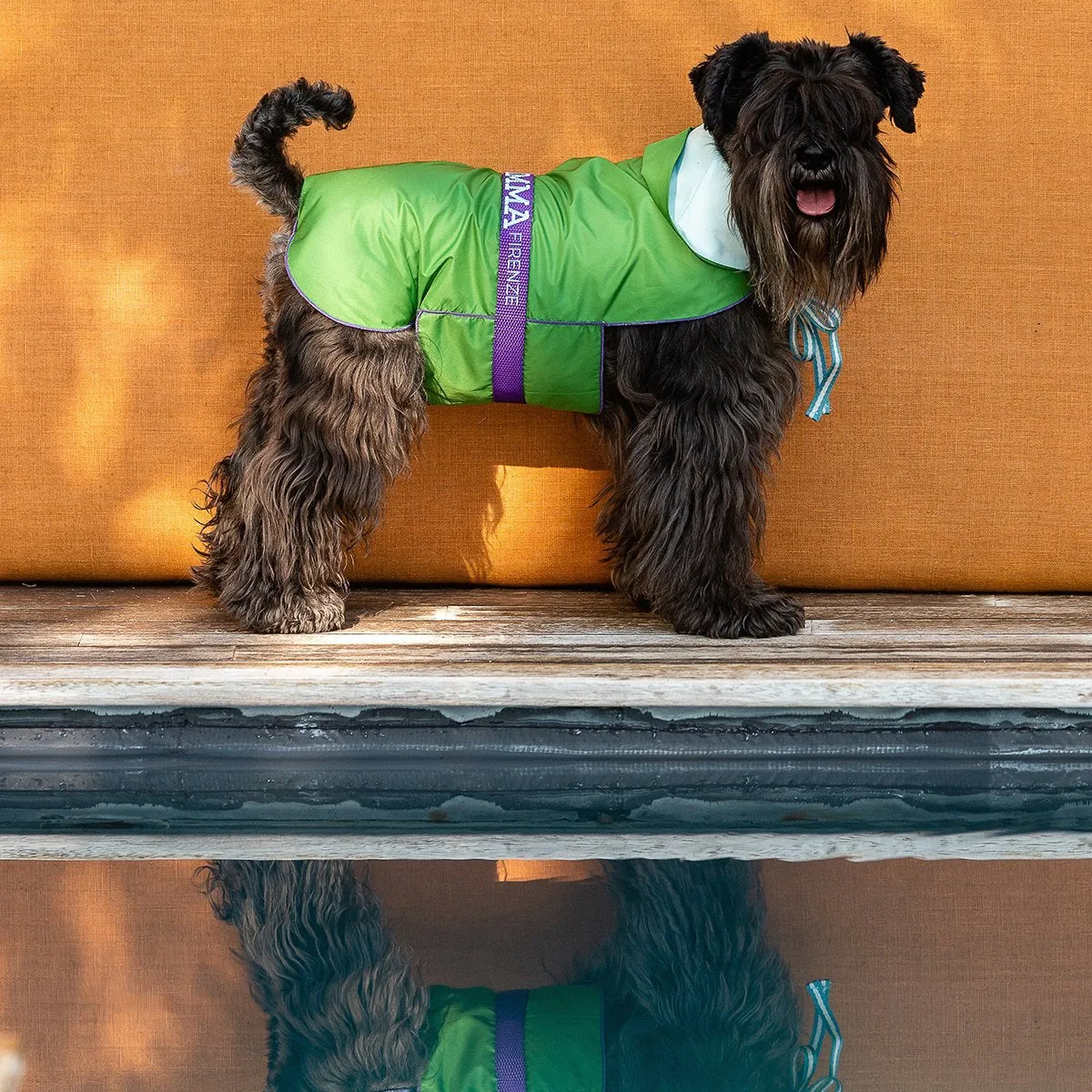 Bespoke Dog Raincoat Meadow