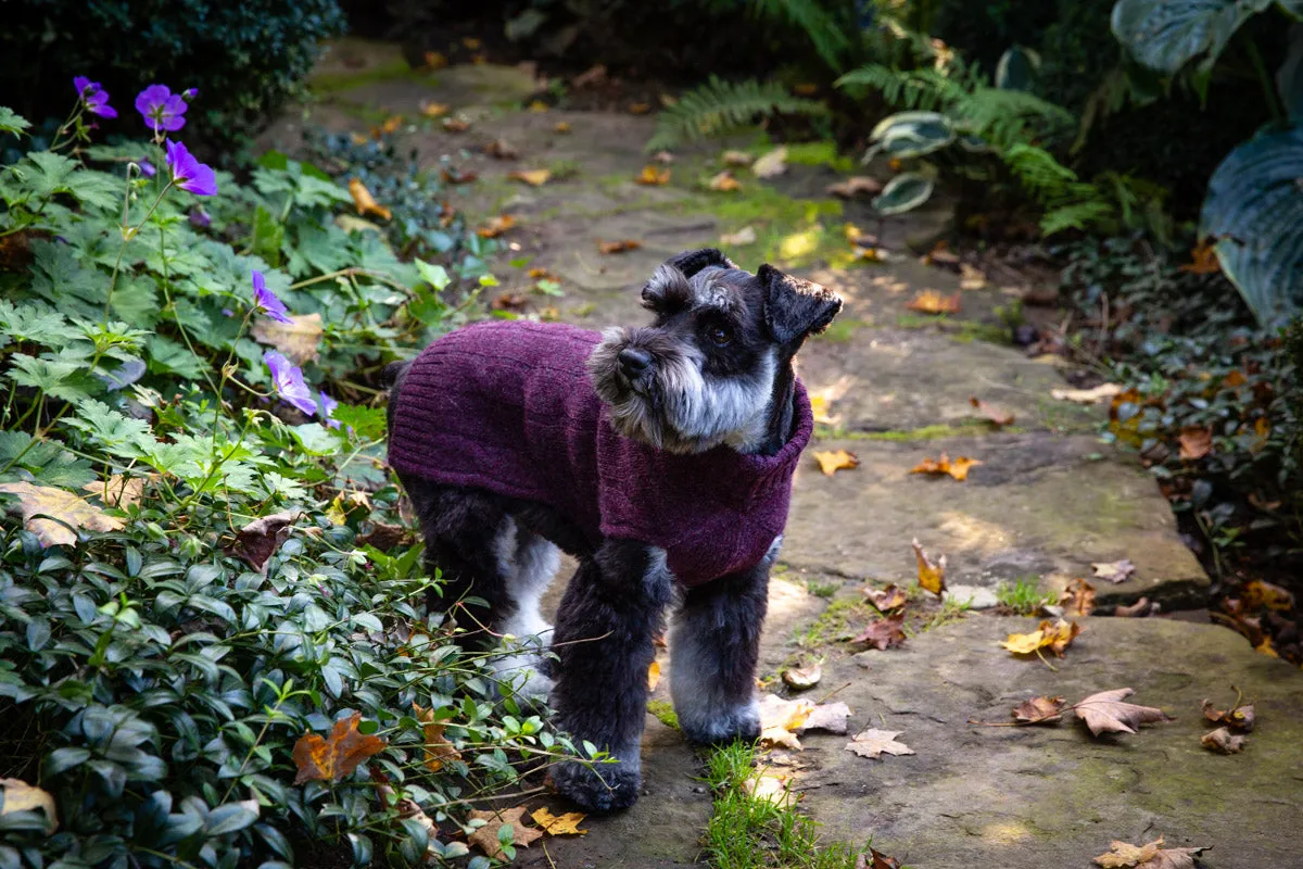 Cashmere Dog Solid Sweater - Navy, Winter White & Heather Burgundy