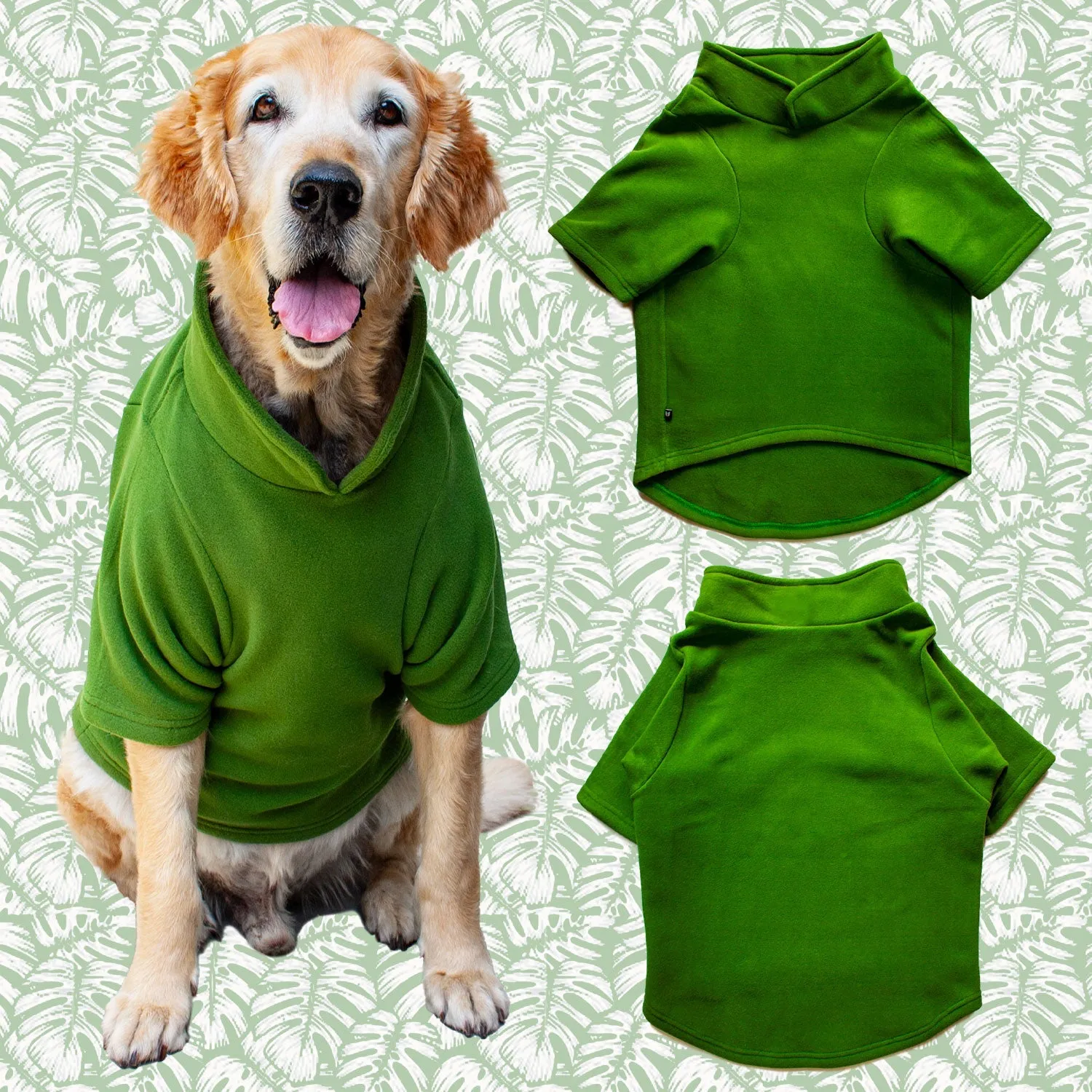 Collared Shell Jacket For Dogs