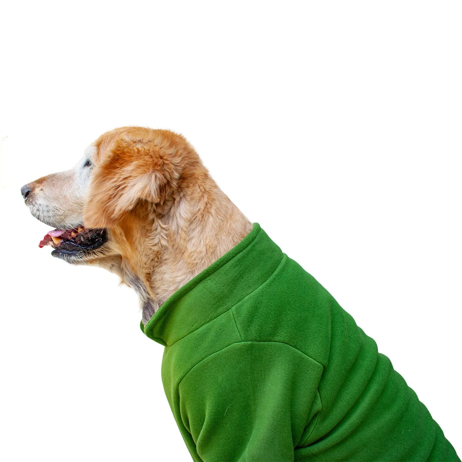 Collared Shell Jacket For Dogs