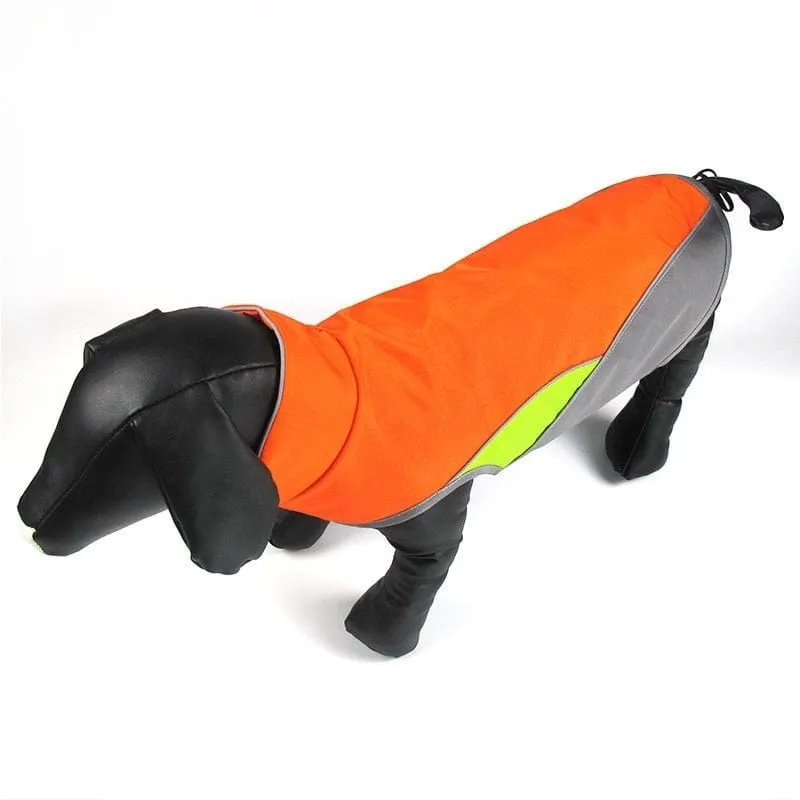 Cooper Waterproof Dachshund Jacket