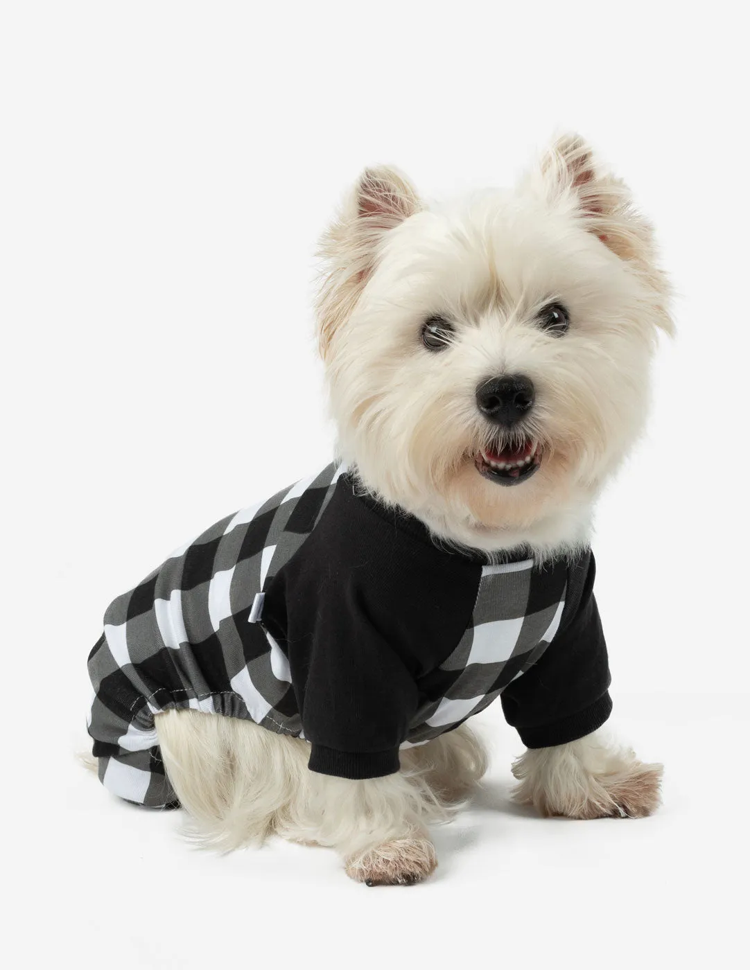 Dog Plaid Pajamas