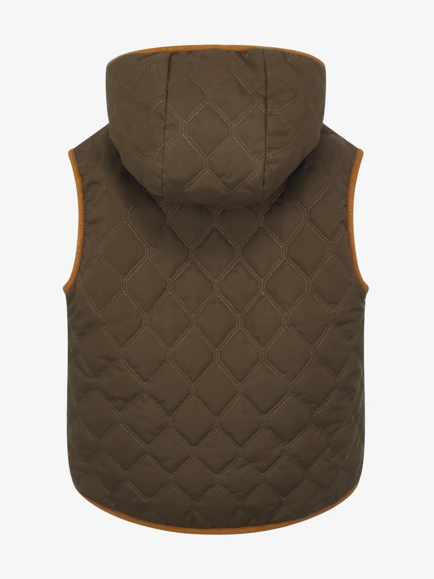 LeMieux Mini Elsie Reversible Gilet Alpine