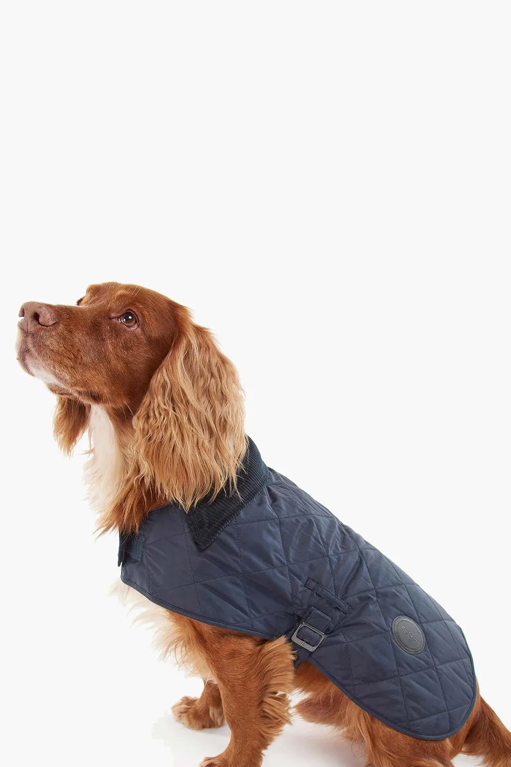 Navy Quilted Dog Coat