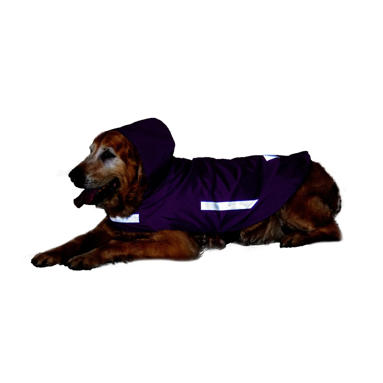 Plain Solid DryTech Dog Raincoat with Reflective Strips For Protection | Visibilitee Collection