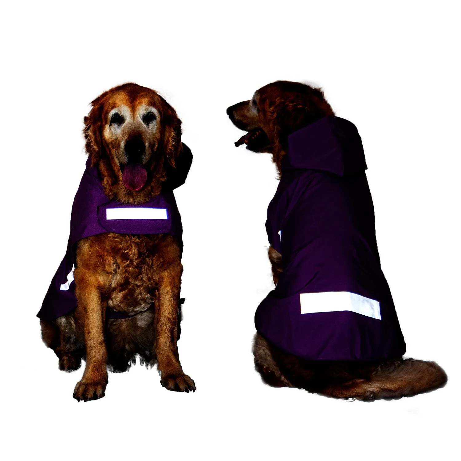 Plain Solid DryTech Dog Raincoat with Reflective Strips For Protection | Visibilitee Collection