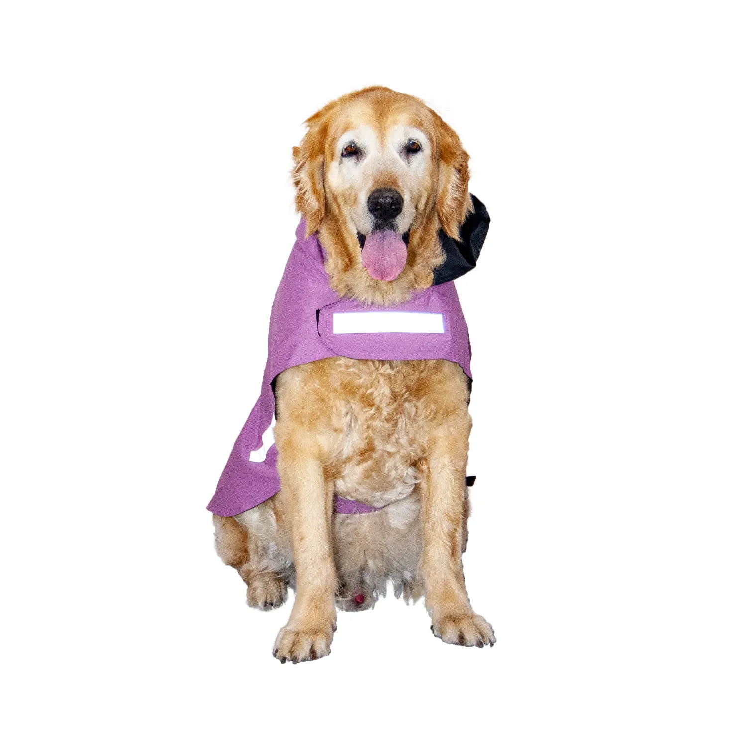 Plain Solid DryTech Dog Raincoat with Reflective Strips For Protection | Visibilitee Collection