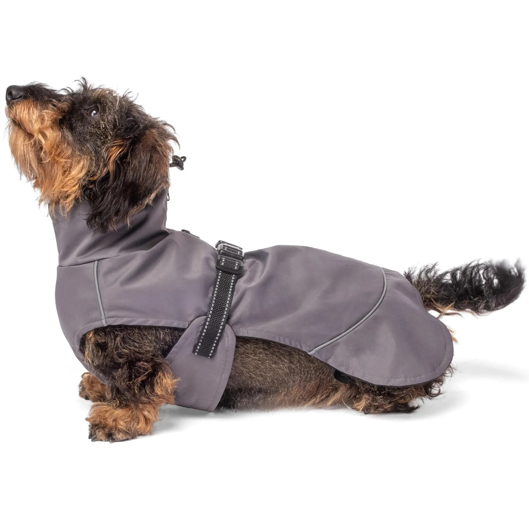 PRE-SALE - Bunty DownPaw Jacket