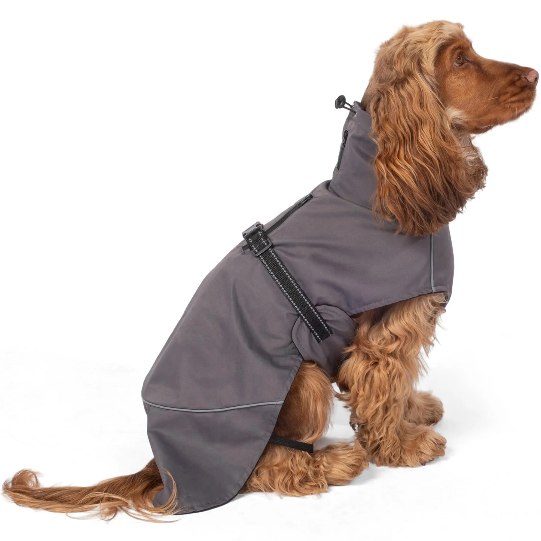 PRE-SALE - Bunty DownPaw Jacket