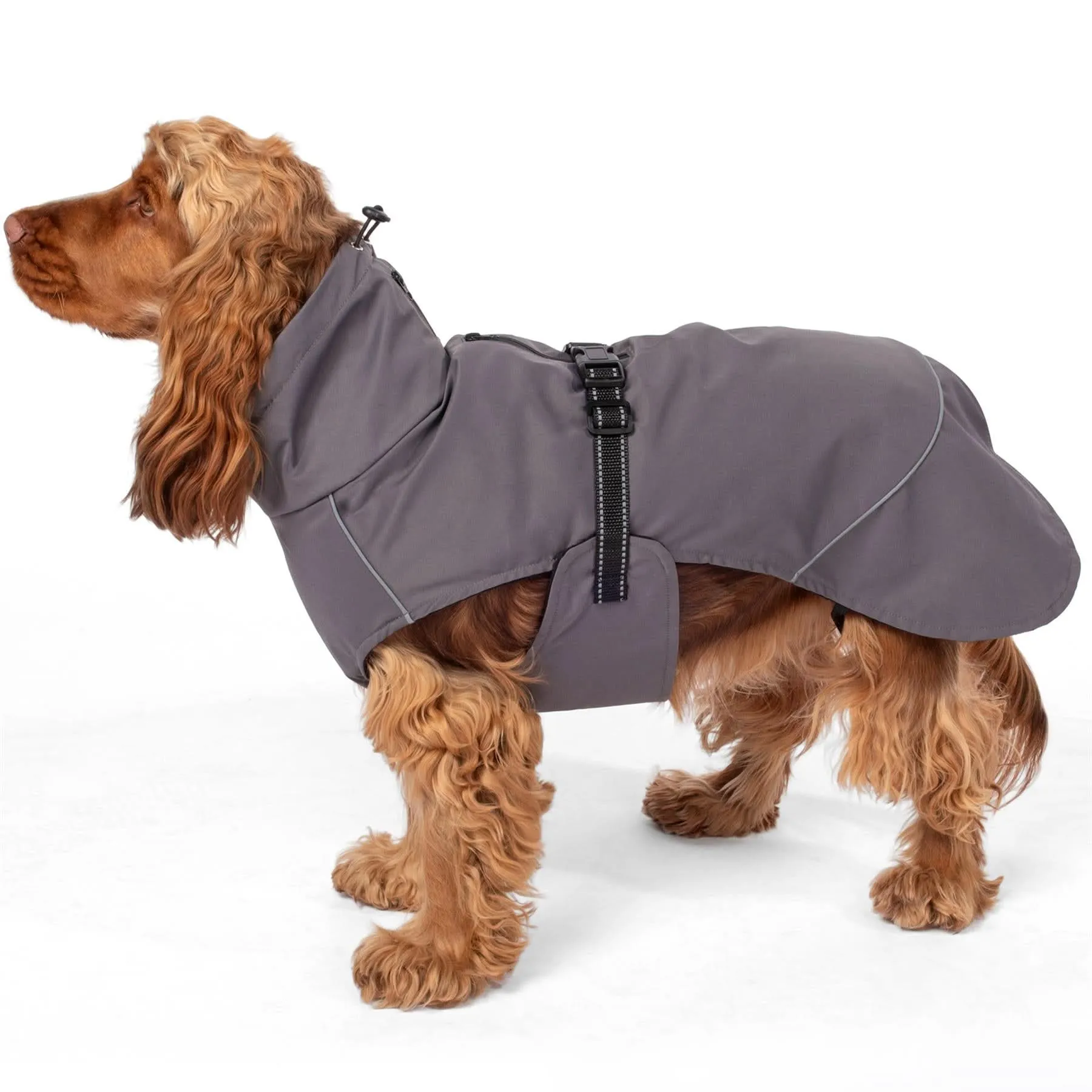 PRE-SALE - Bunty DownPaw Jacket