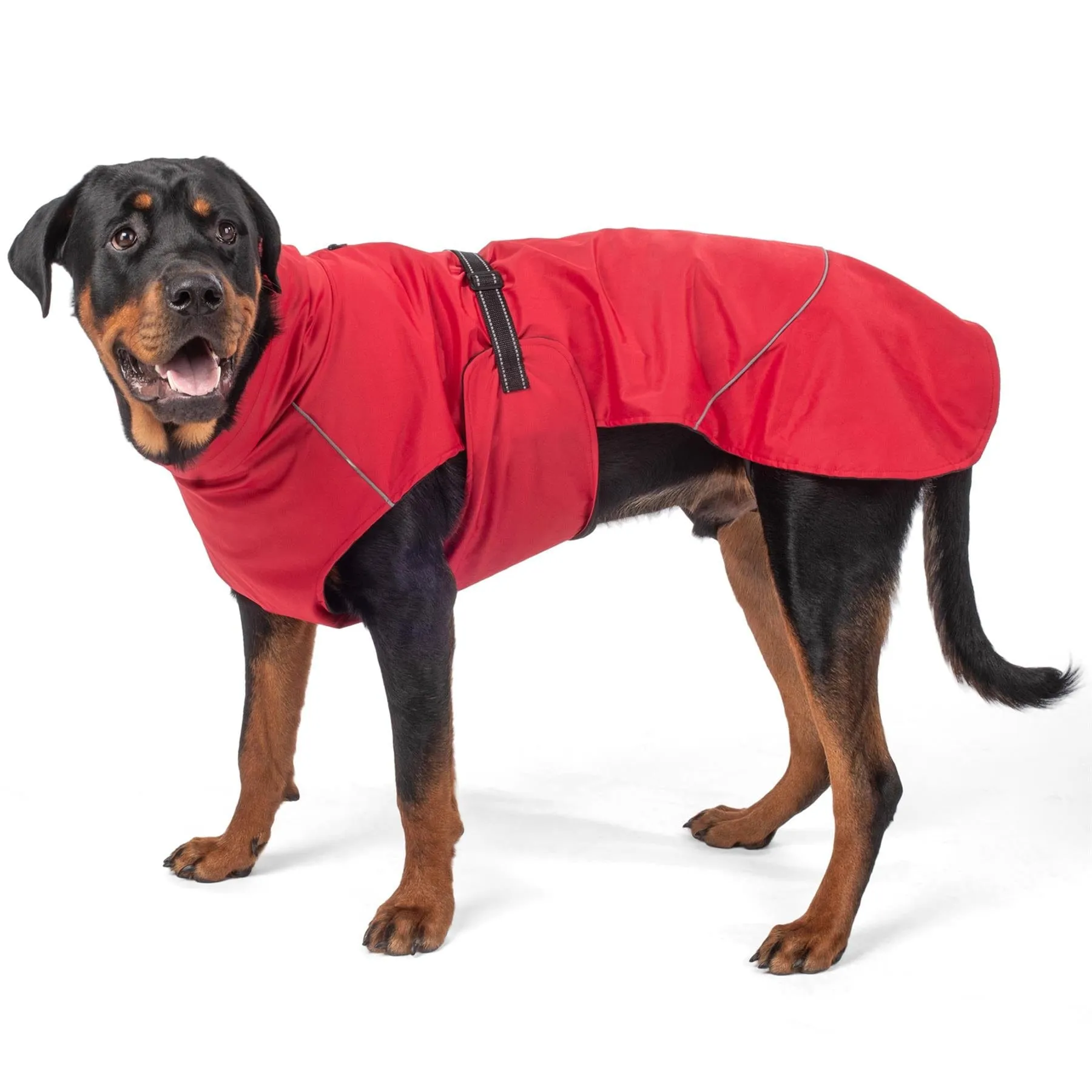 PRE-SALE - Bunty DownPaw Jacket