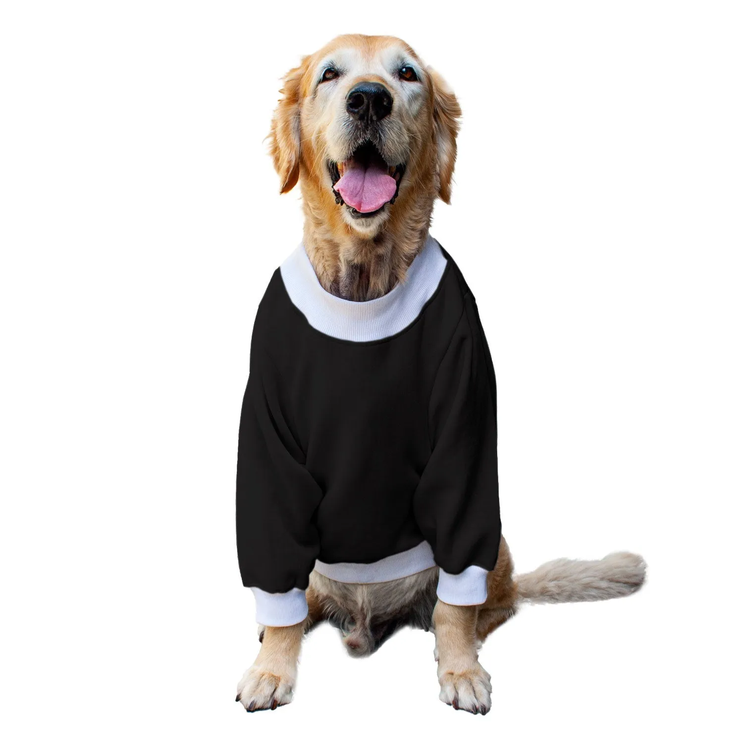 Ruse 'Basics' "Spooky Season" Printed Crew Neck Full Sleeve Sweatshirt For Dogs