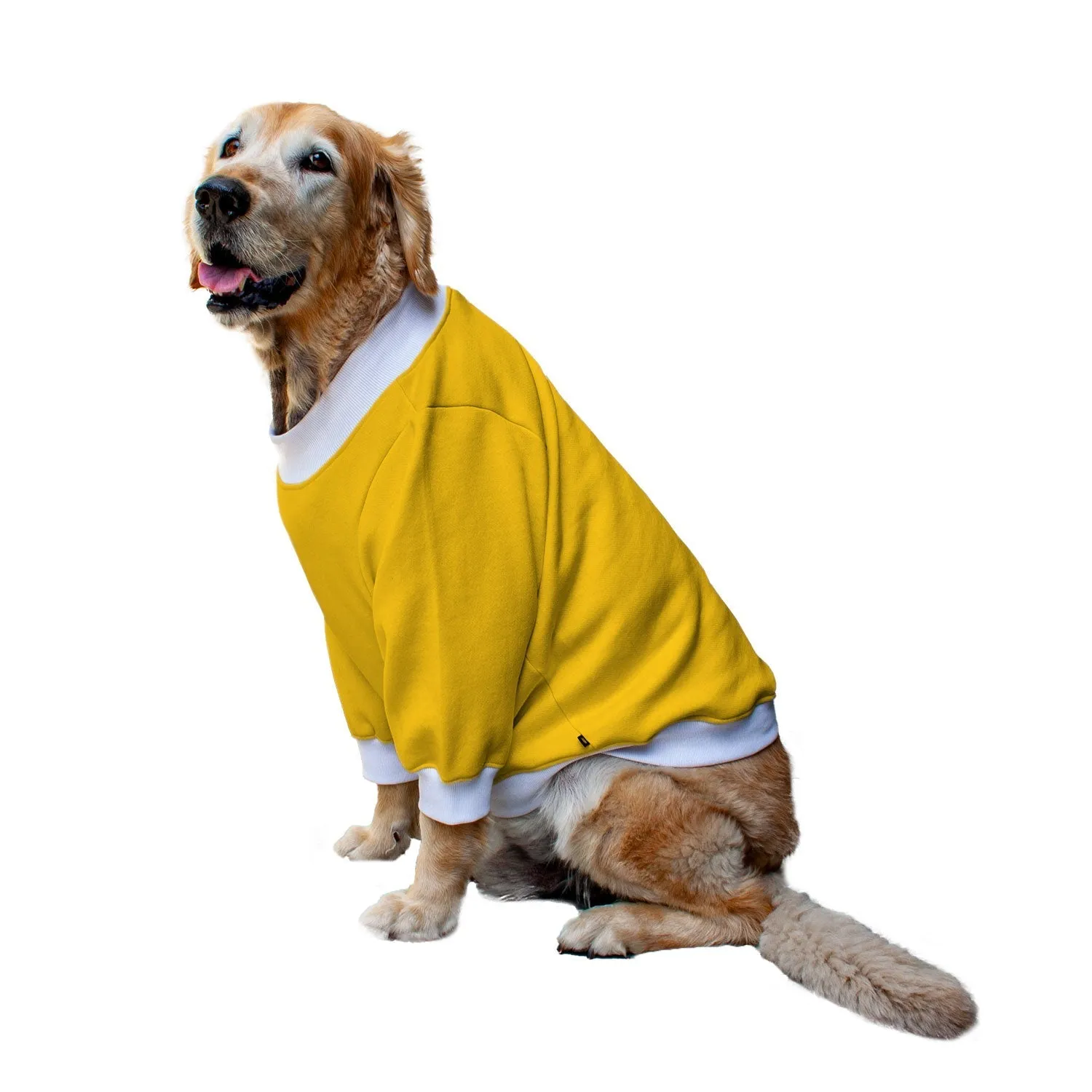 Ruse 'Basics' "Tricks For Treats" Printed Crew Neck Full Sleeve Sweatshirt For Dogs