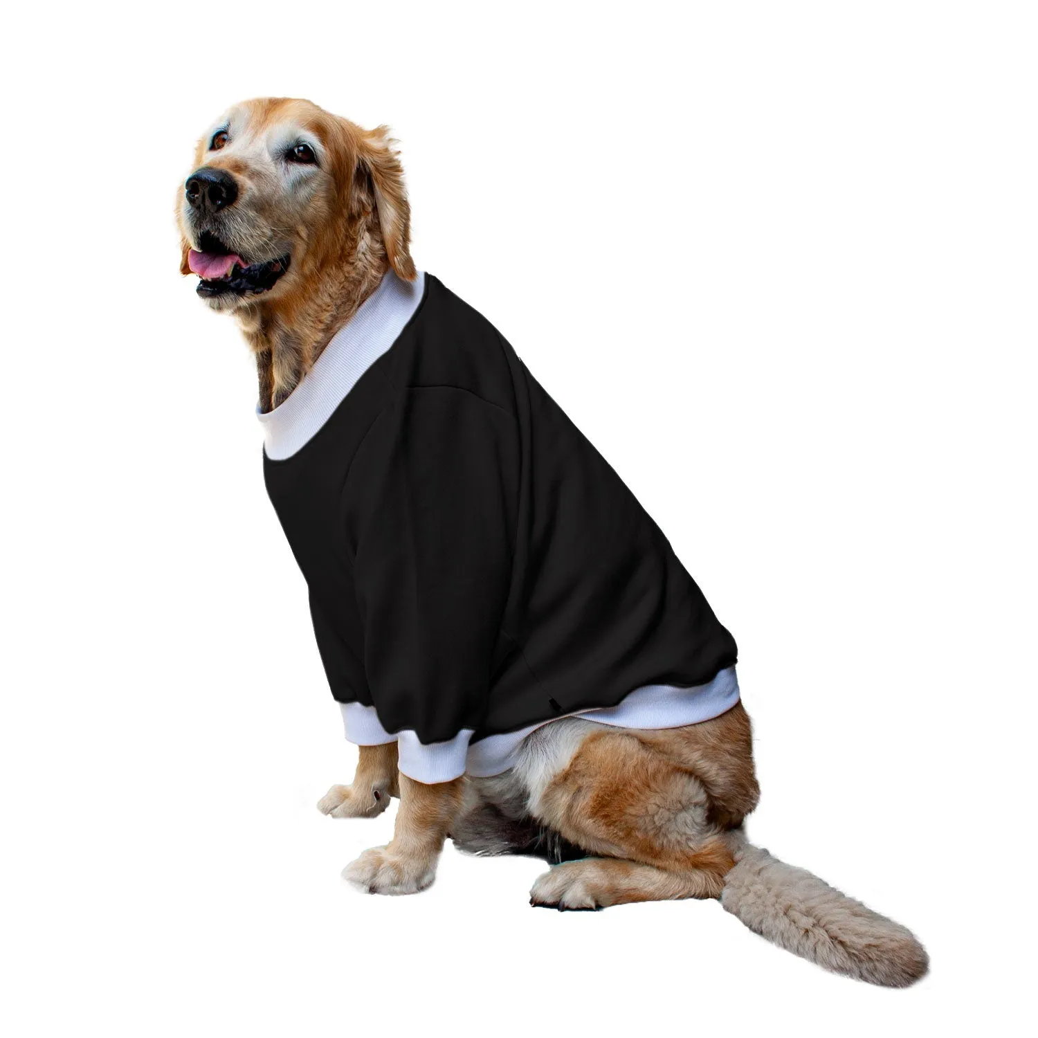 Ruse 'Basics' "Tricks For Treats" Printed Crew Neck Full Sleeve Sweatshirt For Dogs