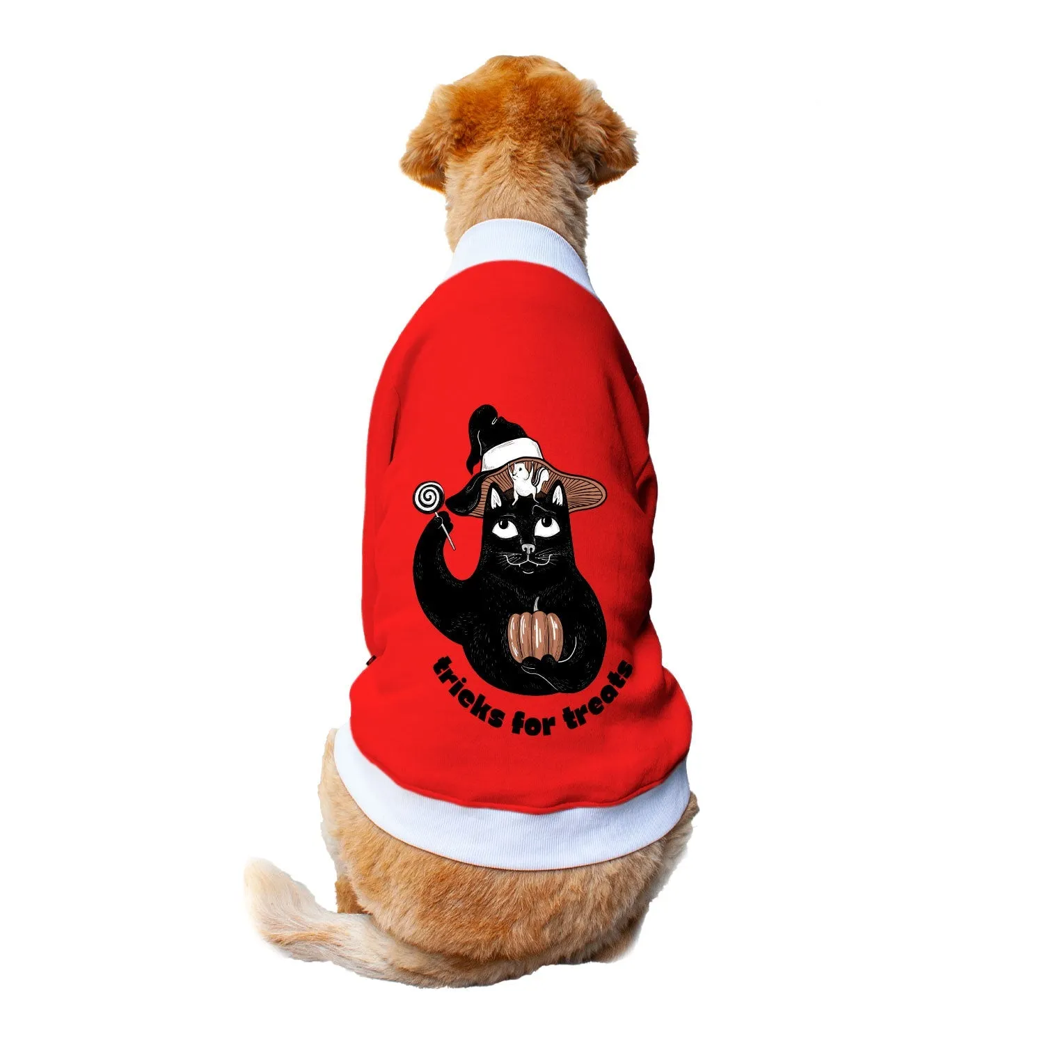 Ruse 'Basics' "Tricks For Treats" Printed Crew Neck Full Sleeve Sweatshirt For Dogs