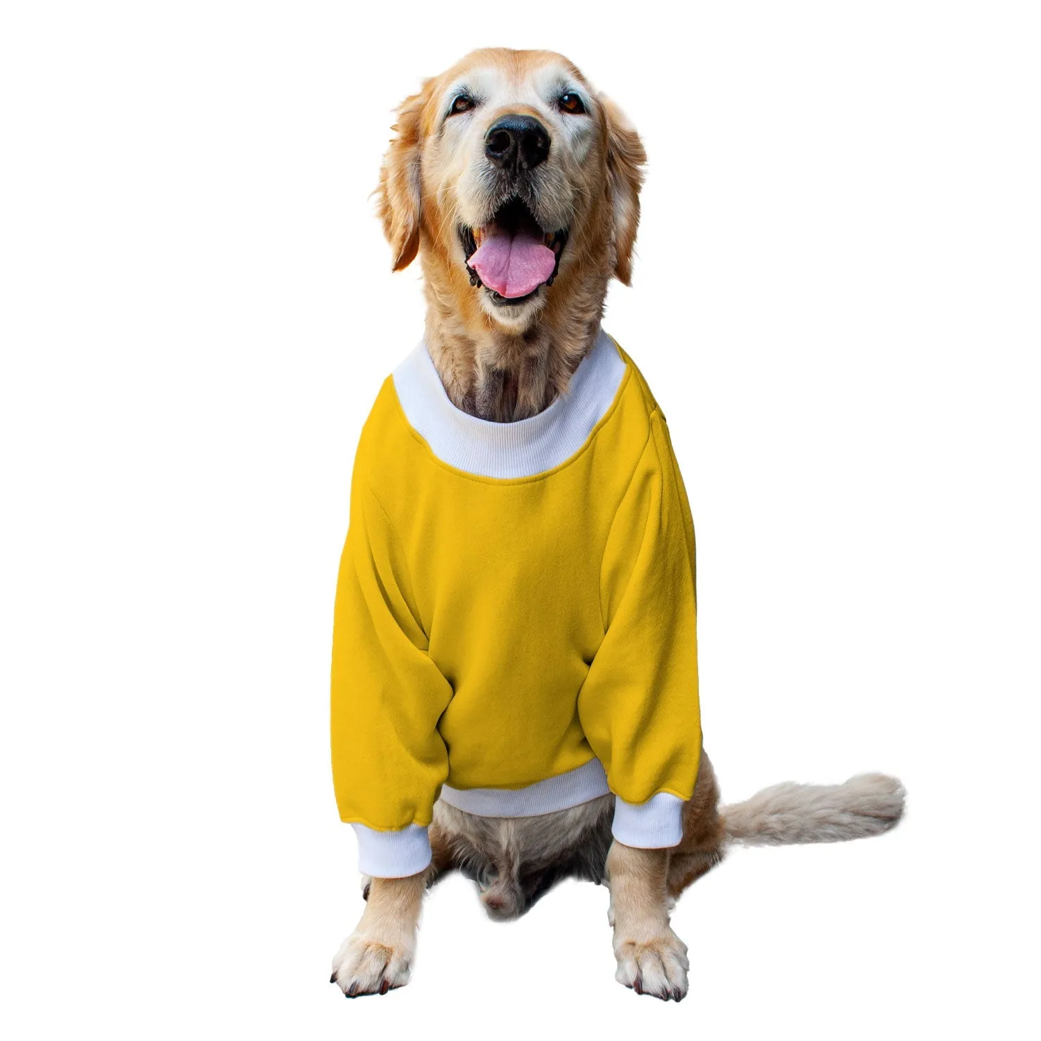 Ruse 'Basics' "Tricks For Treats" Printed Crew Neck Full Sleeve Sweatshirt For Dogs