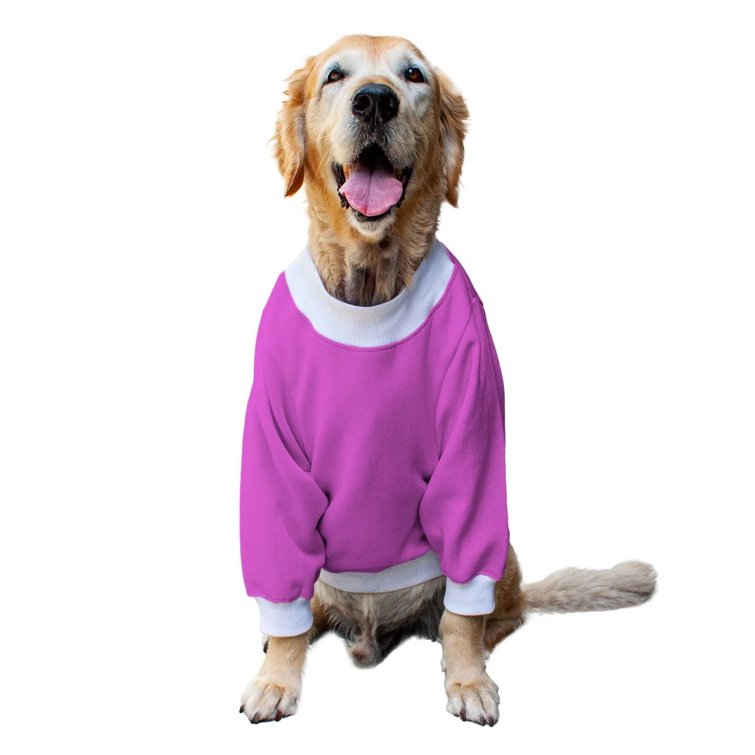 Ruse 'Basics' "Tricks For Treats" Printed Crew Neck Full Sleeve Sweatshirt For Dogs