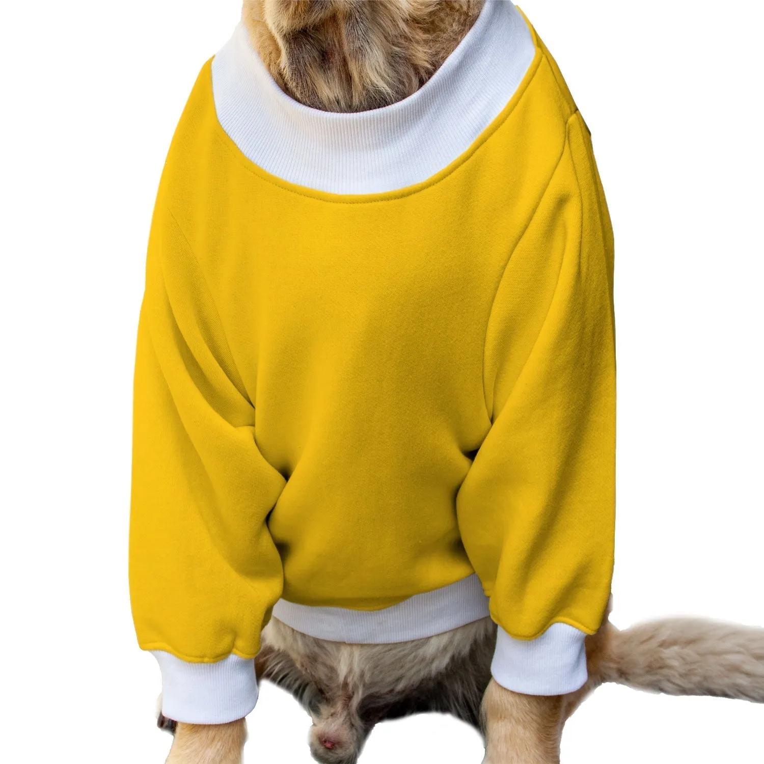 Ruse 'Basics' "Tricks For Treats" Printed Crew Neck Full Sleeve Sweatshirt For Dogs