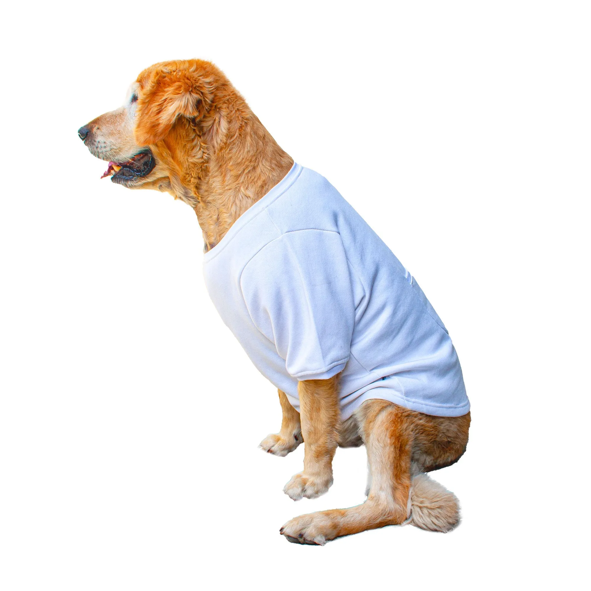 Ruse 'Basics' "Will Work For Chicken Wings" Printed Crew Neck Full Sleeve Expedition Sweatshirt For Dogs