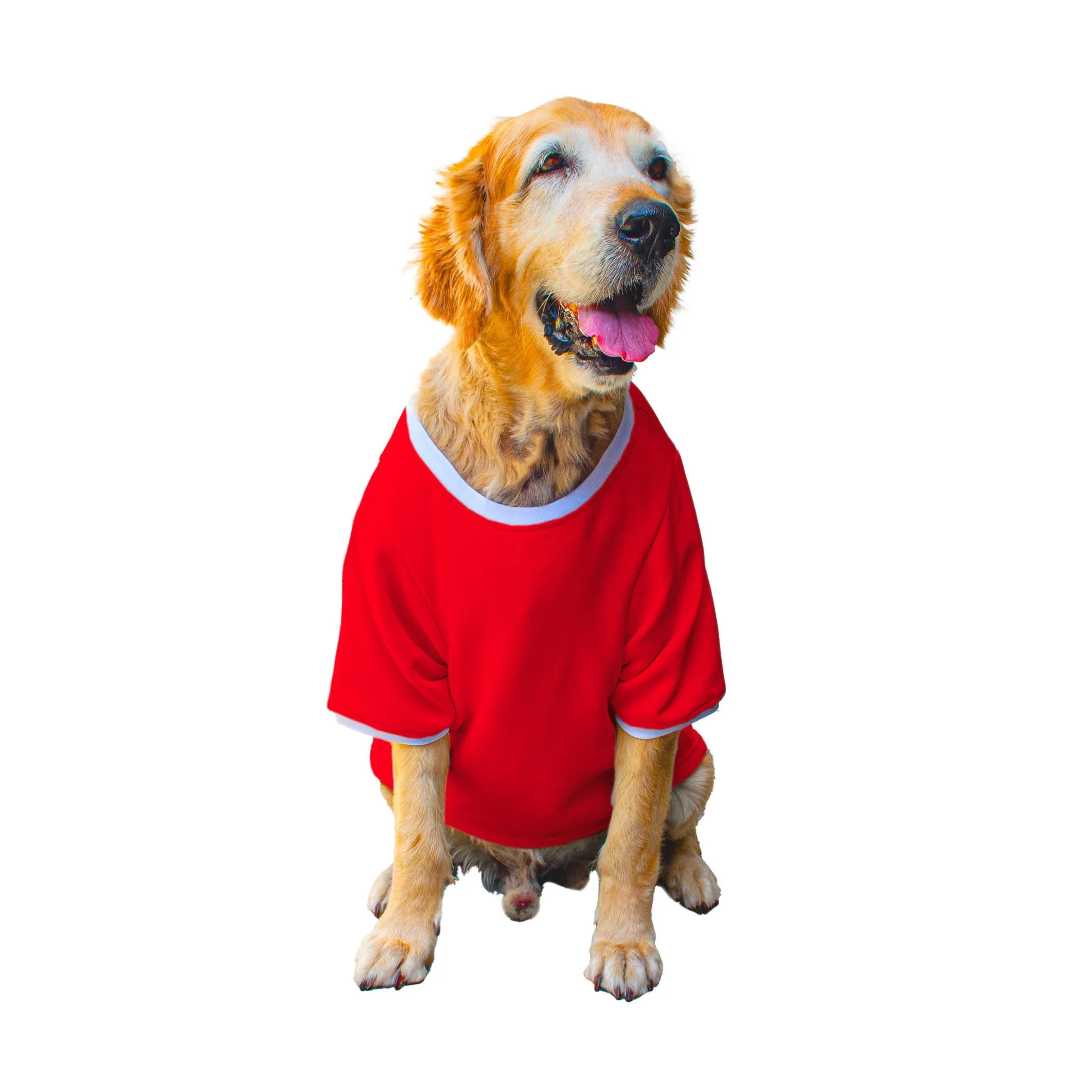 Ruse 'Basics' "Will Work For Chicken Wings" Printed Crew Neck Full Sleeve Expedition Sweatshirt For Dogs