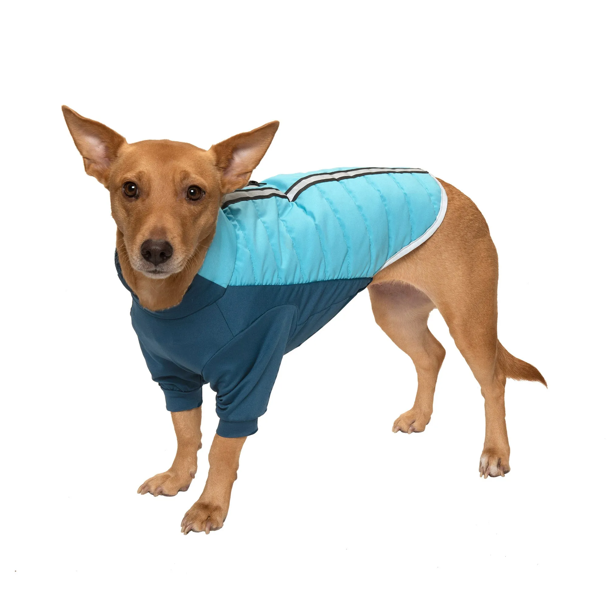 Water-Repellent Reflective Active Pro-Fit Dog Coat