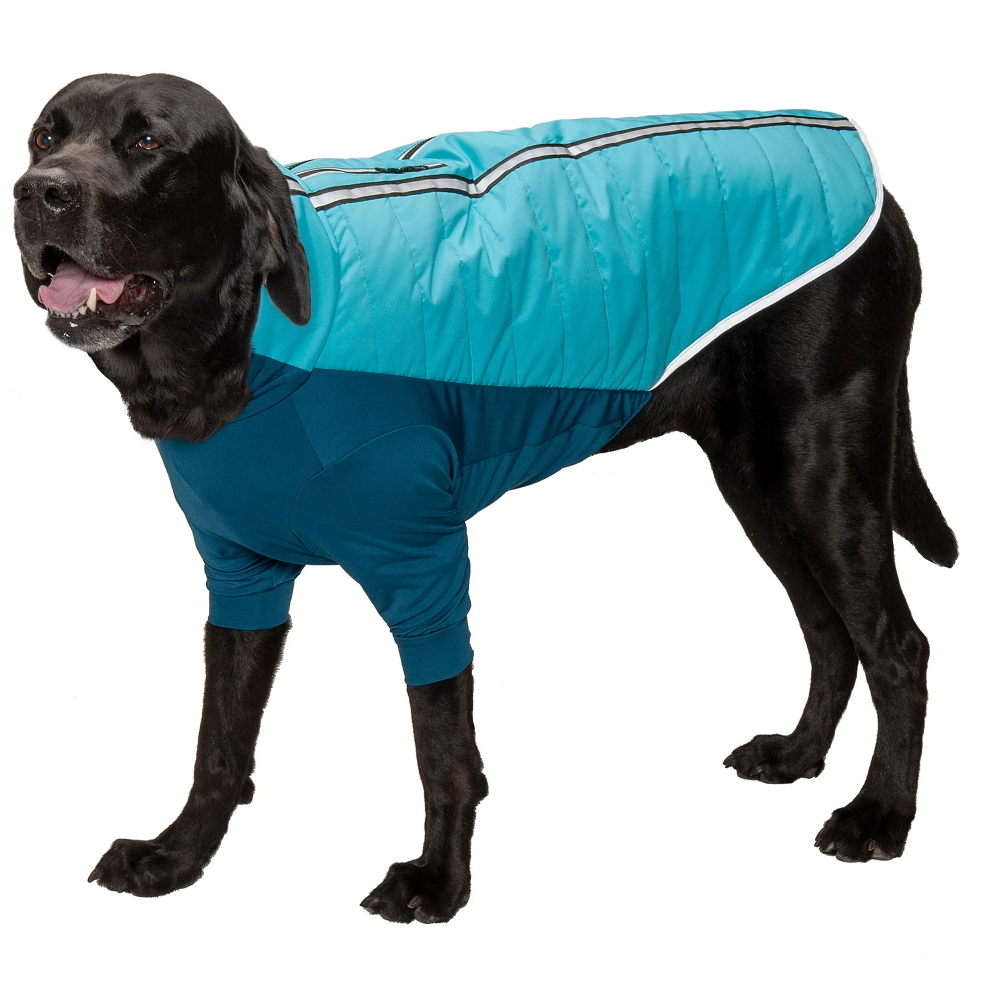 Water-Repellent Reflective Active Pro-Fit Dog Coat