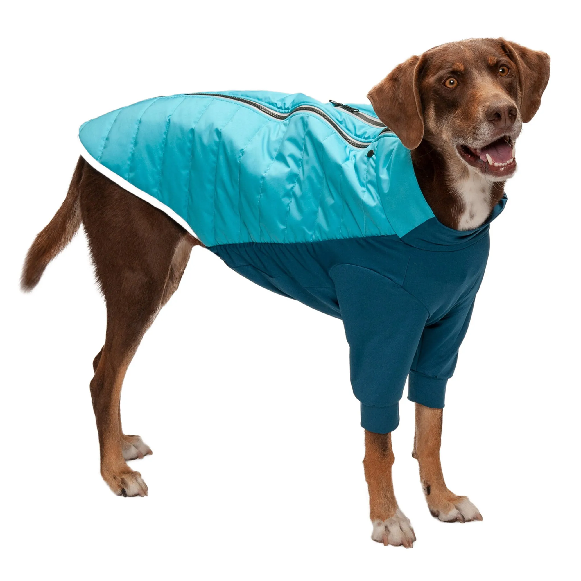 Water-Repellent Reflective Active Pro-Fit Dog Coat