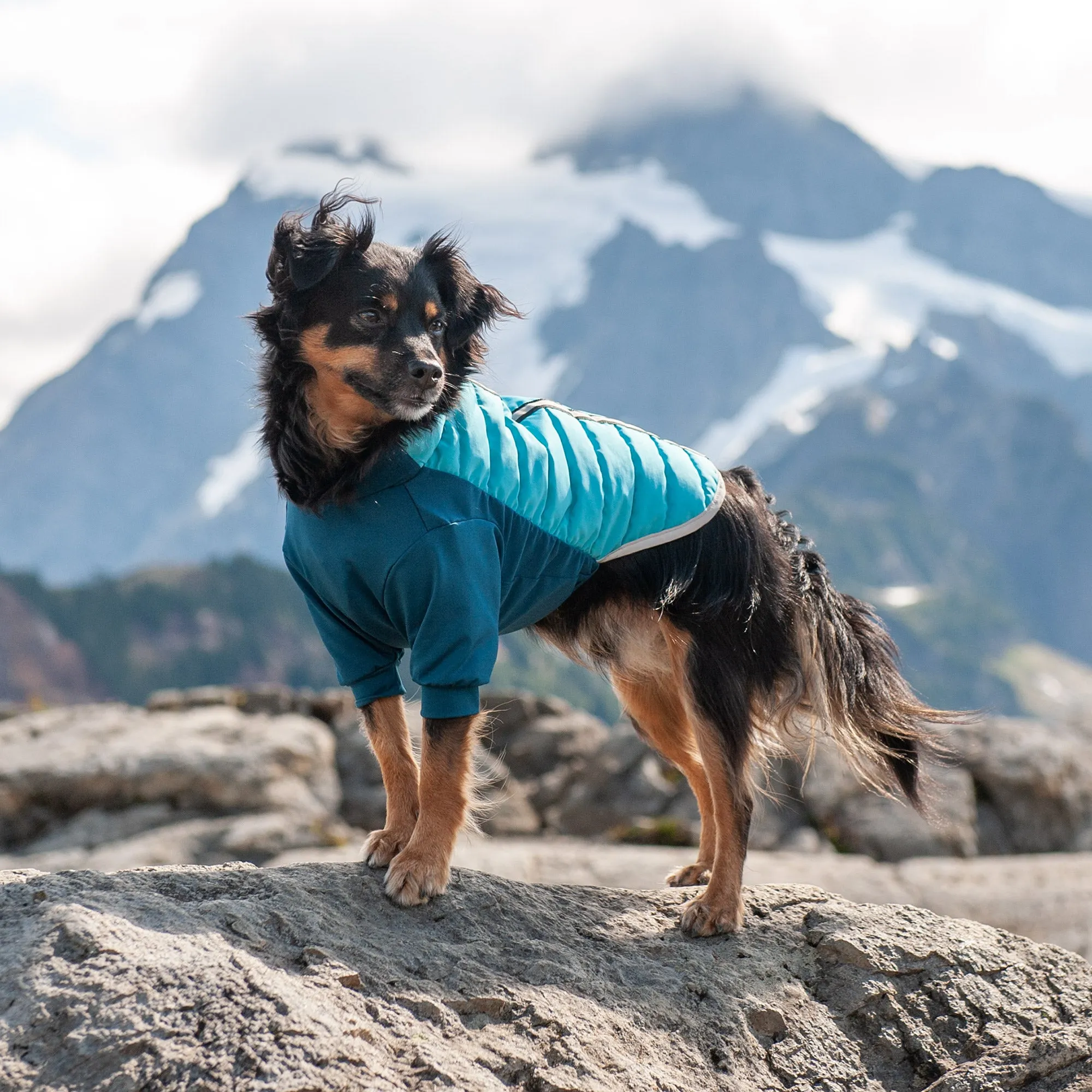 Water-Repellent Reflective Active Pro-Fit Dog Coat