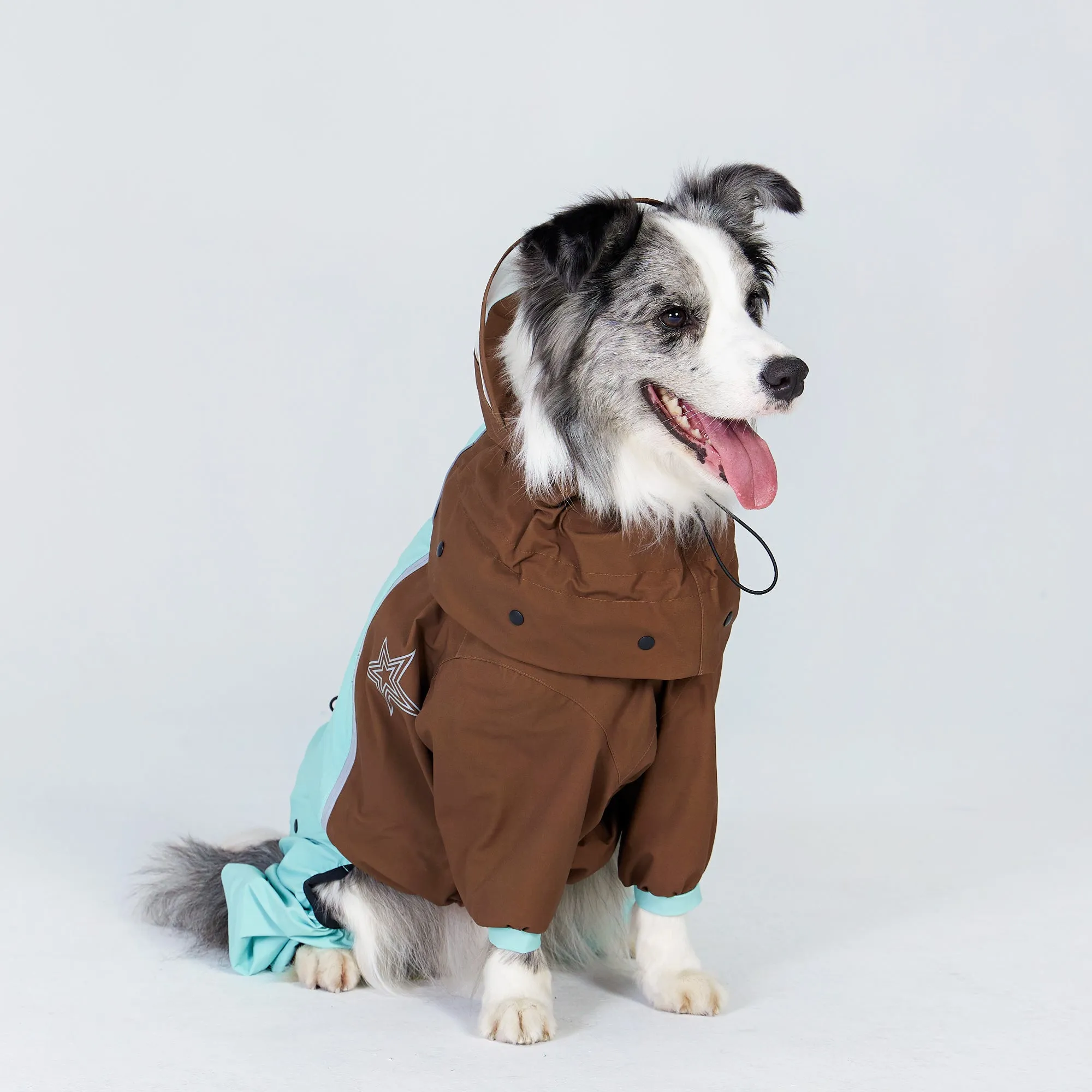 Waterproof Dog Raincoat With Detachable Design